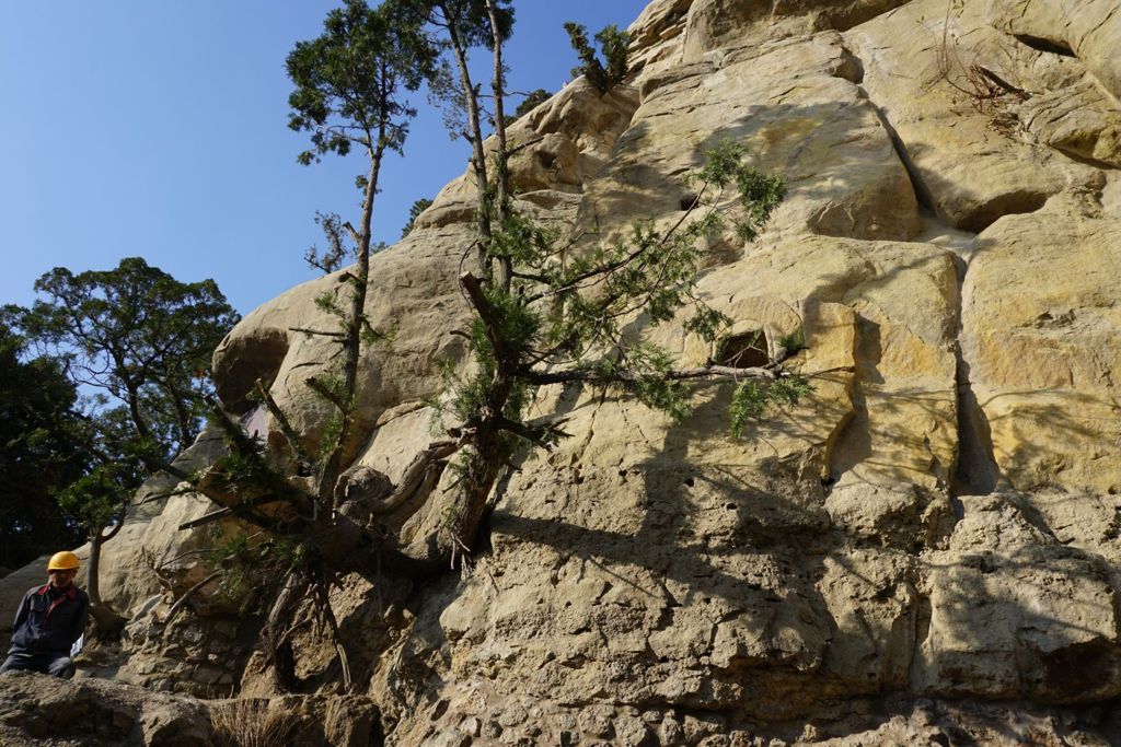 Miniature of Tianlongshan Caves